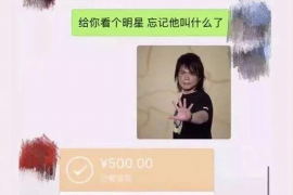 平远要账公司:专业高效的债务回收解决方案 平远要账公司:专业高效的债务回收解决方案